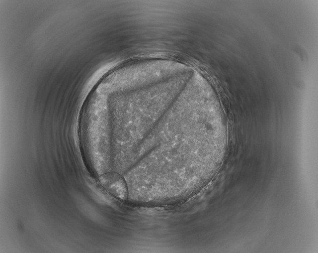 X0000112890147200910021421