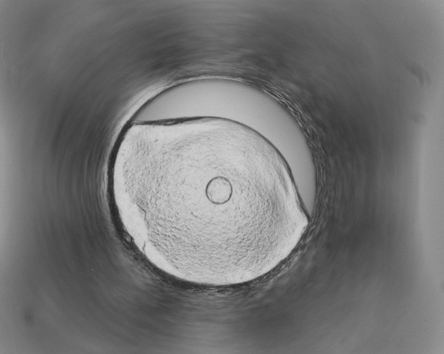 X0000112890148200910021421