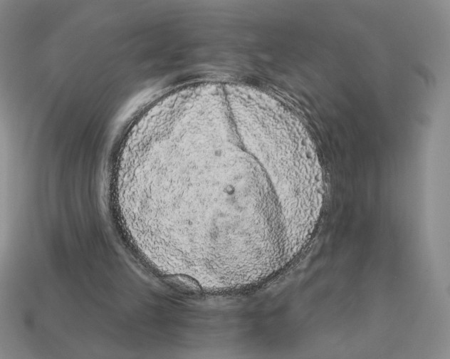 X0000112890149200910021421