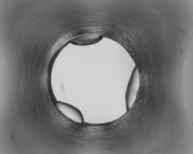 X0000112890150200910021421
