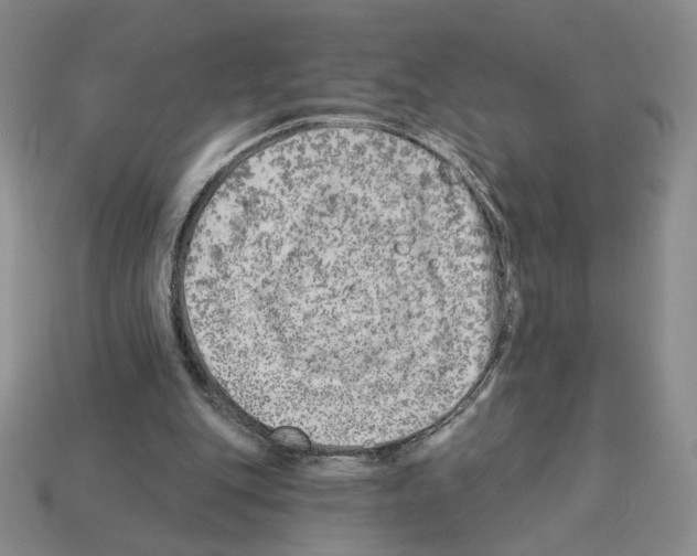X0000112890151200910021421