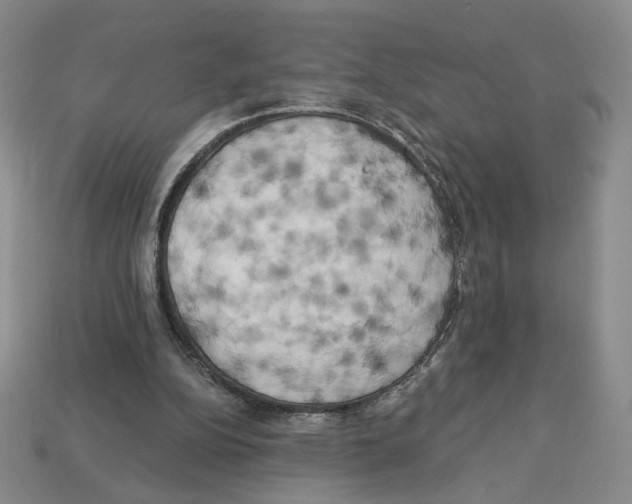 X0000112890152200910021421