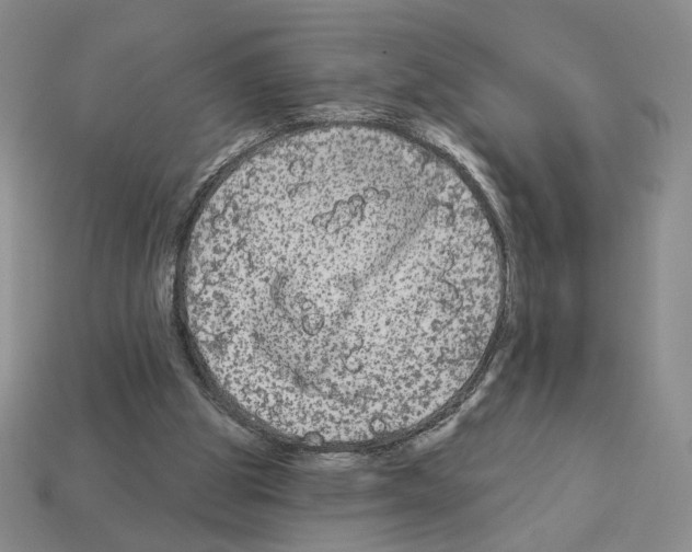 X0000112890153200910021421