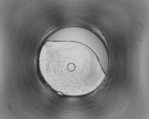 X0000112890154200910021421