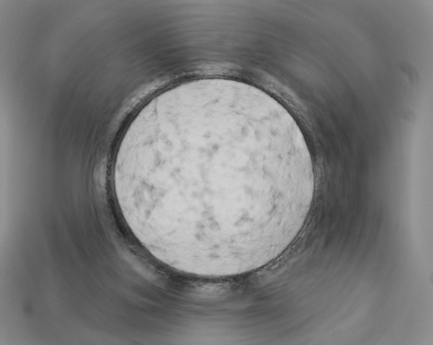 X0000112890155200910021421