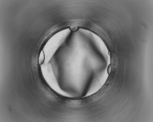 X0000112890156200910021421
