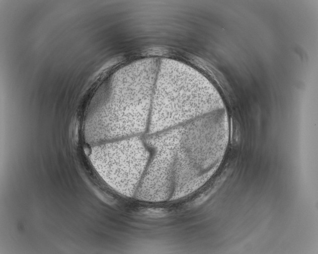 X0000112890157200910021421