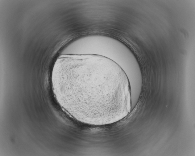 X0000112890158200910021421