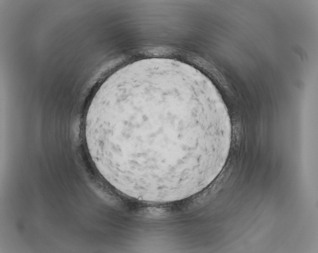 X0000112890159200910021421