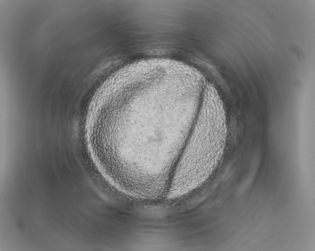 X0000112890161200910021421