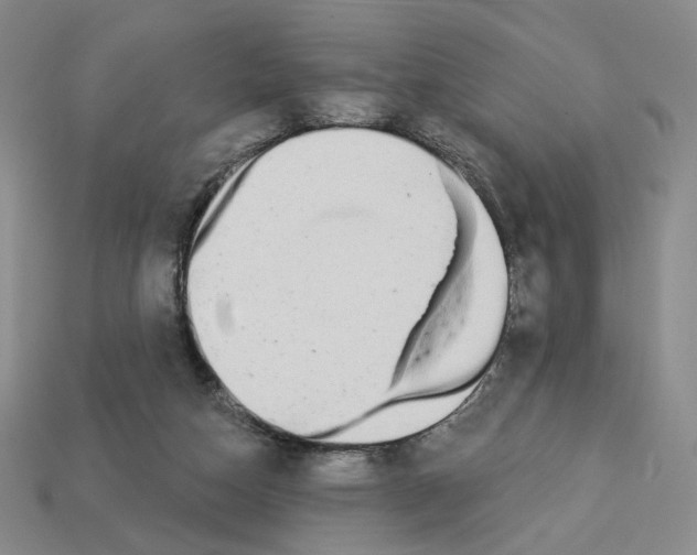 X0000112890162200910021421
