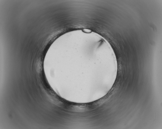 X0000112890164200910021421