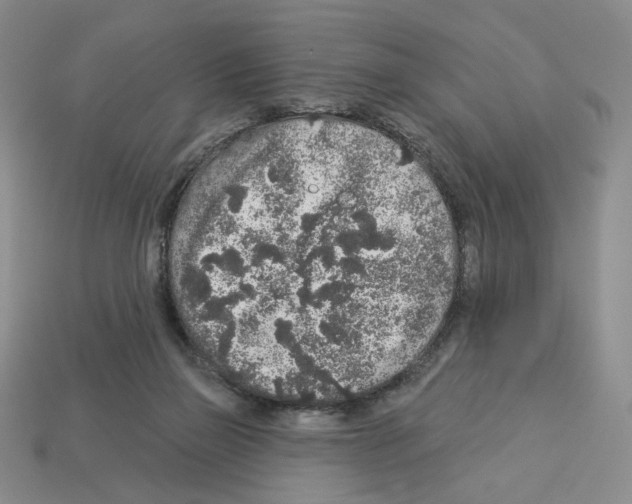 X0000112890165200910021421