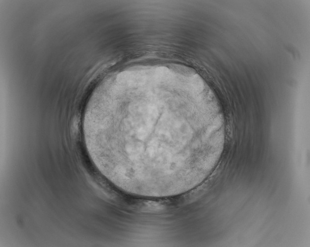 X0000112890166200910021421
