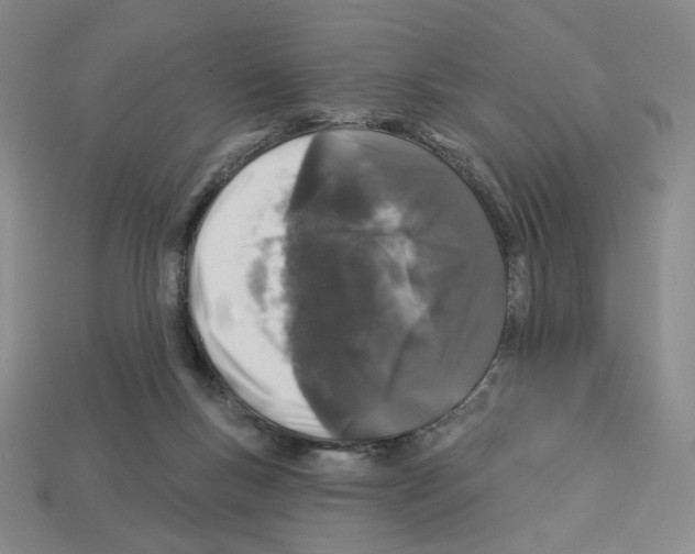 X0000112890167200910021421