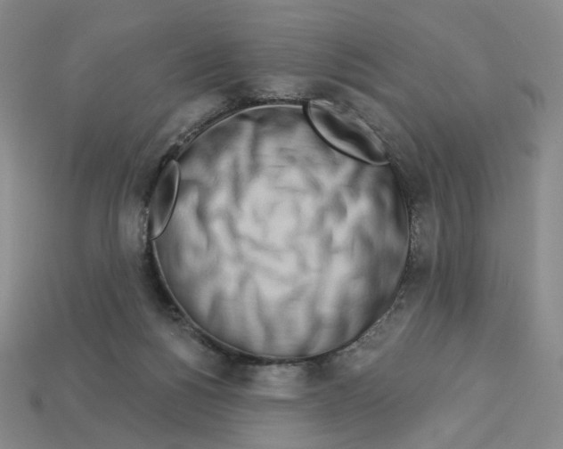 X0000112890168200910021421