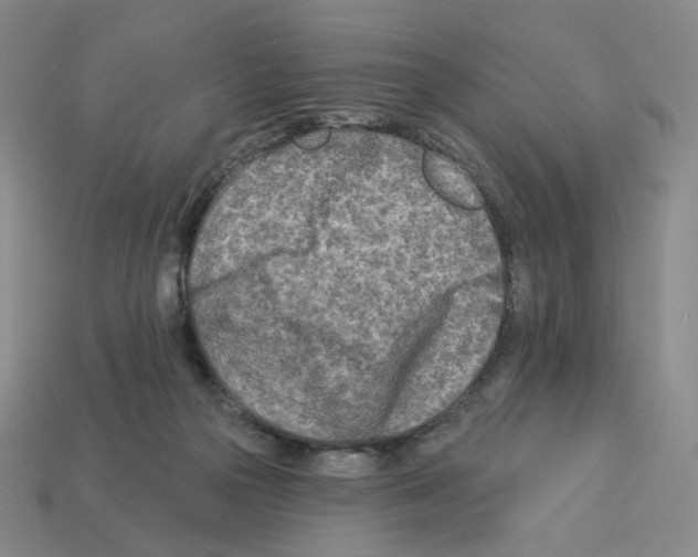 X0000112890169200910021421