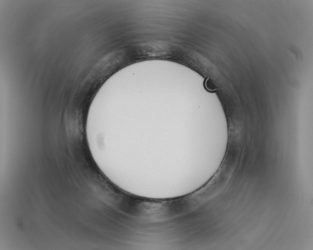 X0000112890170200910021421