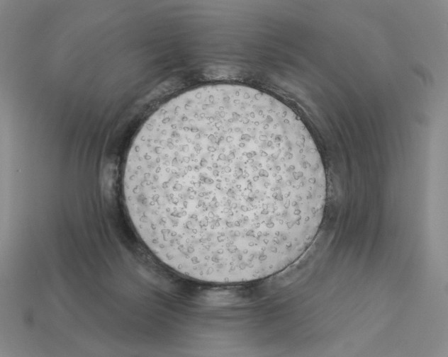 X0000112890171200910021421