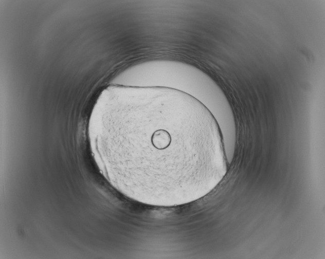X0000112890172200910021421