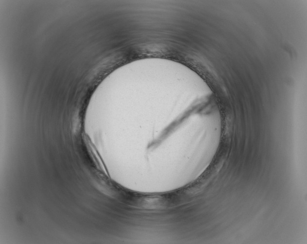X0000112890173200910021421