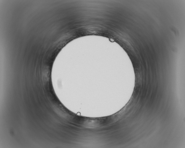 X0000112890174200910021421
