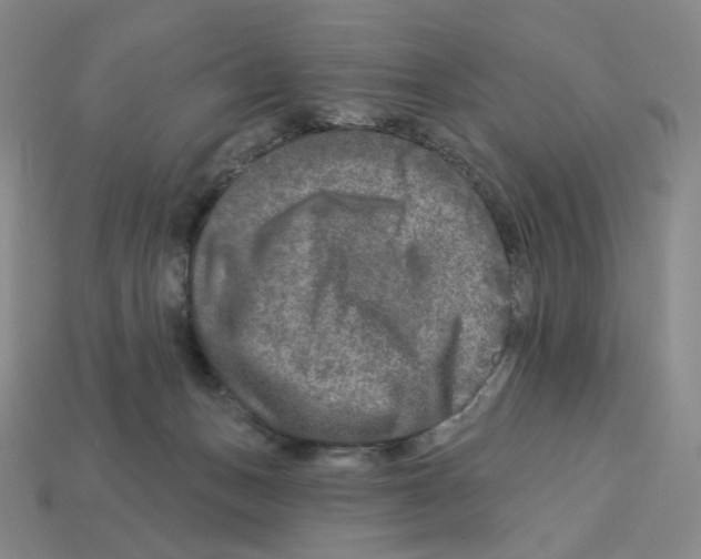 X0000112890175200910021421