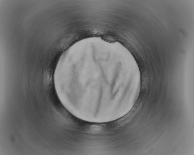 X0000112890176200910021421