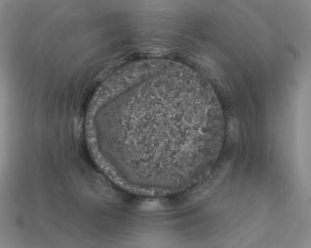X0000112890177200910021421