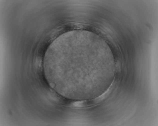 X0000112890178200910021421