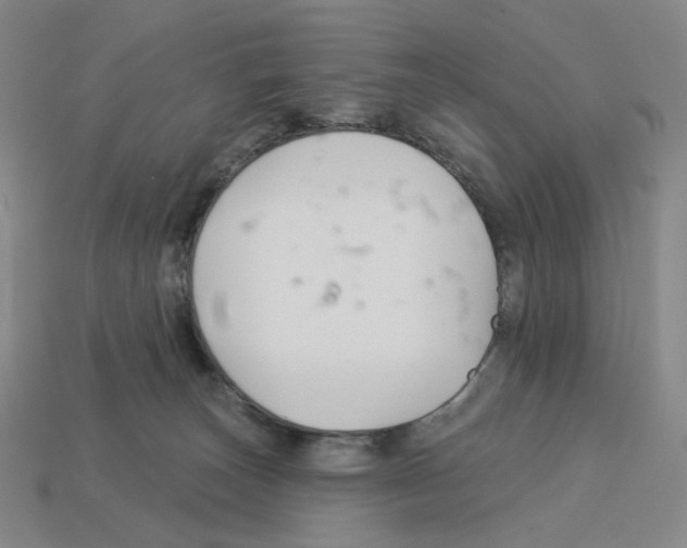 X0000112890179200910021421