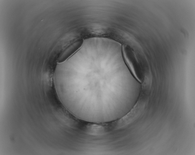 X0000112890180200910021421
