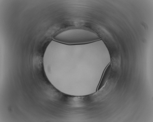 X0000112890184200910021422