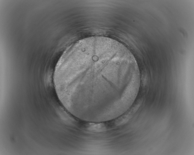 X0000112890185200910021422