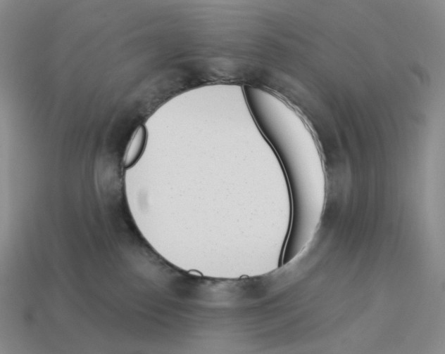 X0000112890186200910021422