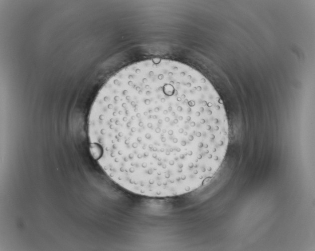 X0000112890187200910021422