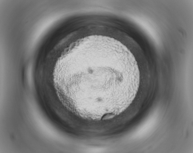 X0000112890189200910021422