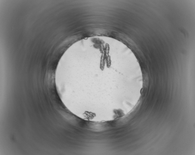 X0000112890191200910021422