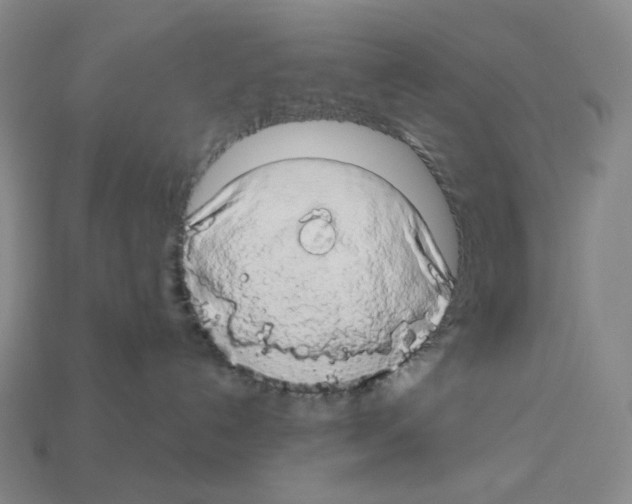 X0000112890192200910021422