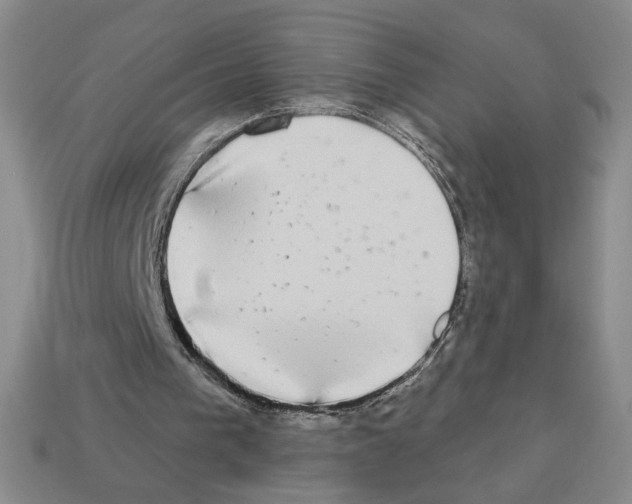 X0000112890193200910021421