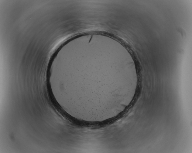X0000112890196200910021421