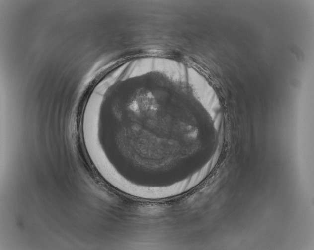 X0000112890198200910021421