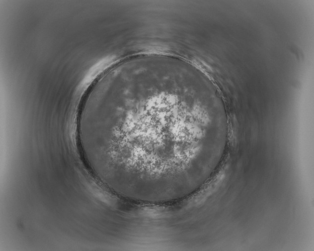 X0000112890199200910021421