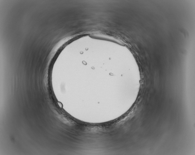 X0000112890200200910021421