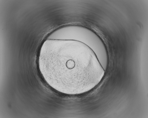 X0000112890201200910021421