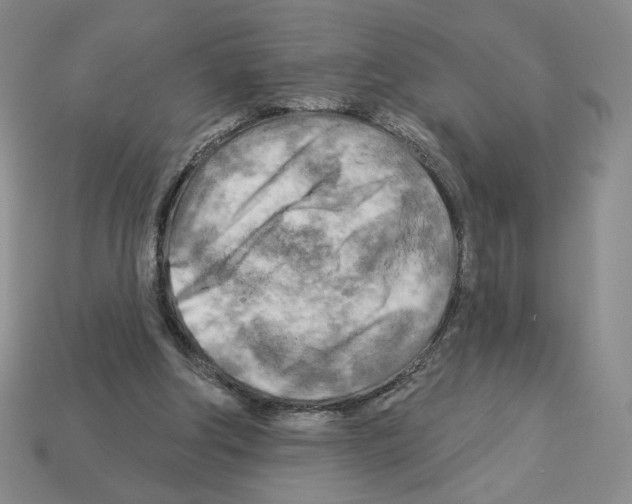 X0000112890202200910021421