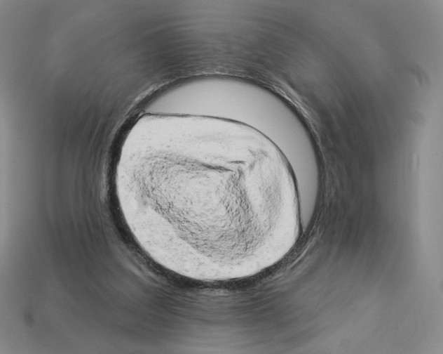 X0000112890203200910021421