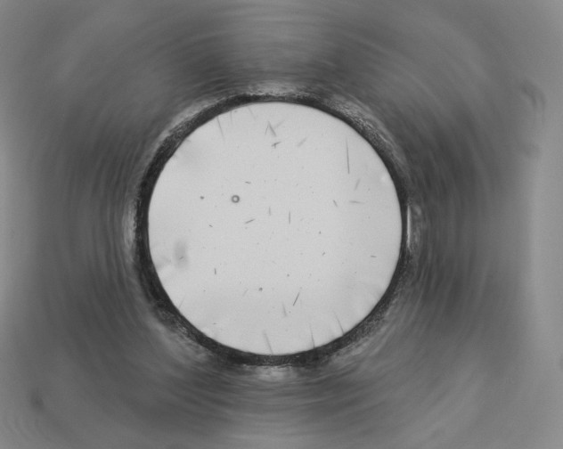 X0000112890204200910021421