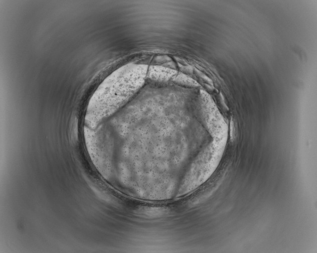 X0000112890205200910021421