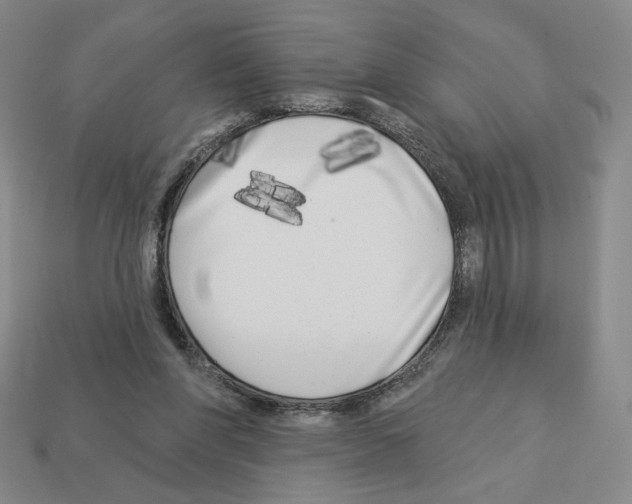 X0000112890206200910021421